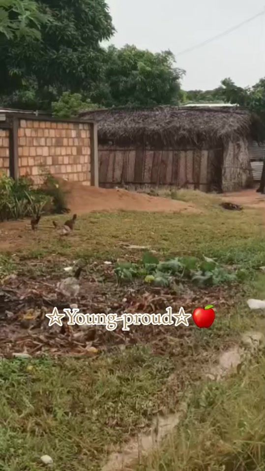 TikTok video thumbnail by youngproud5