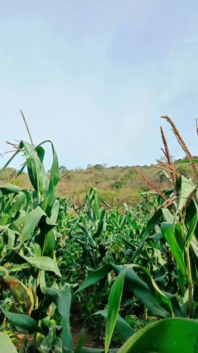 TikTok video thumbnail by neicerip