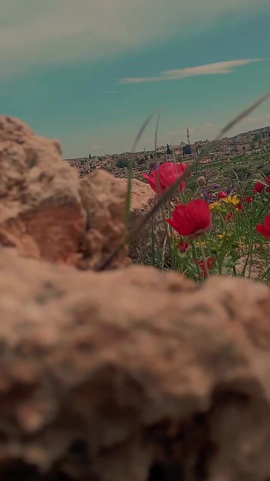 TikTok video thumbnail by fo_fe_adlib3
