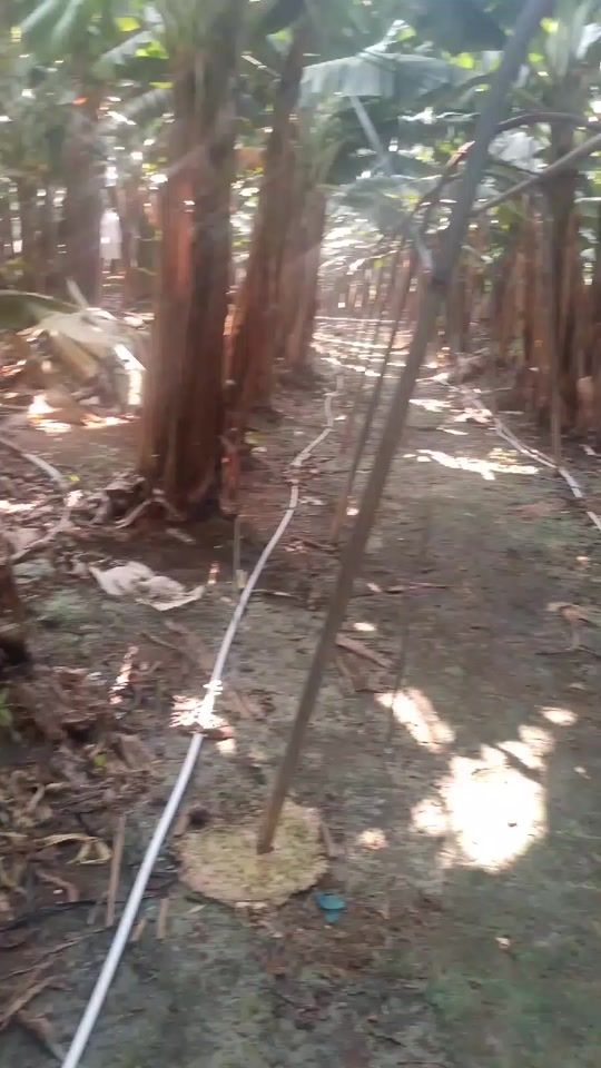 TikTok video thumbnail by kwm.thoj06