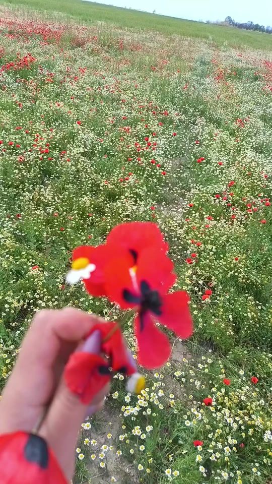 TikTok video thumbnail by _____gunka_____
