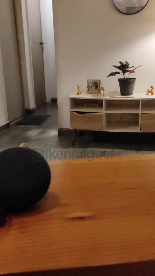 TikTok video thumbnail by ikenmiguel