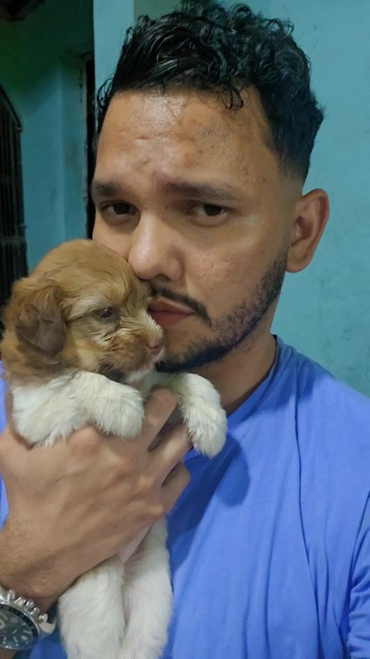 TikTok video thumbnail by enrique_salina1