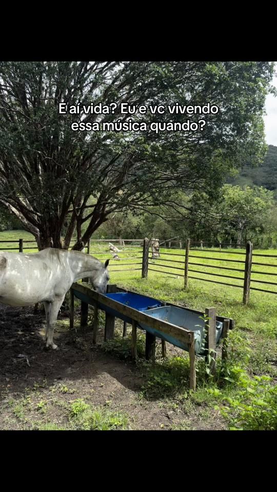 TikTok video thumbnail by markola.mk