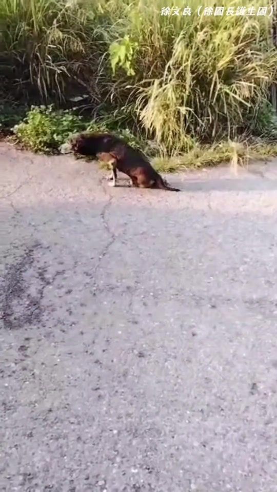TikTok video thumbnail by jackig520520520