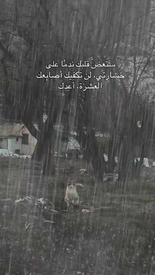TikTok video thumbnail by _12338