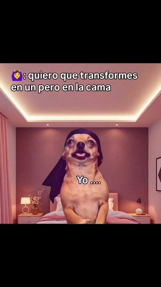 TikTok video thumbnail by mister_y100
