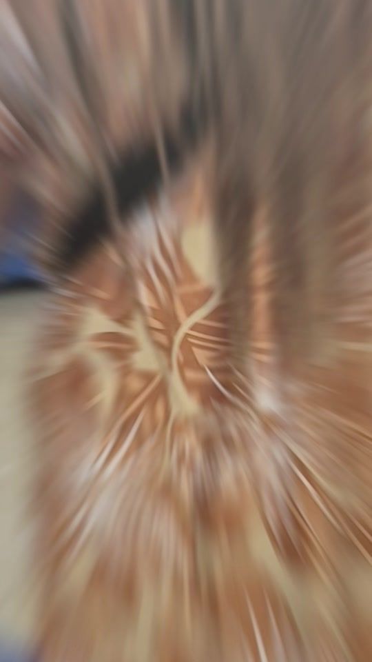 TikTok video thumbnail by clysha1432_
