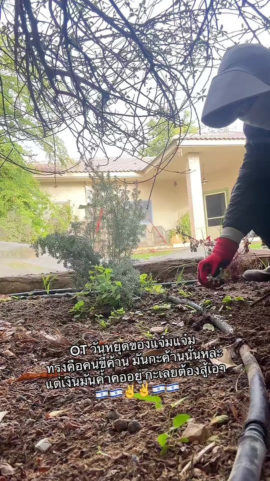 TikTok video thumbnail by achara_jn