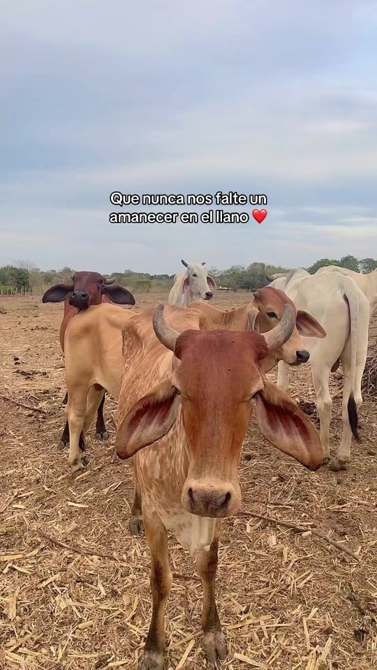 TikTok video thumbnail by nnmr10