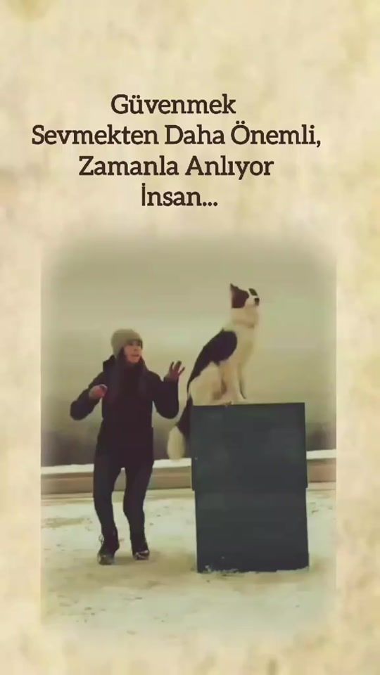 TikTok video thumbnail by geleceyim301