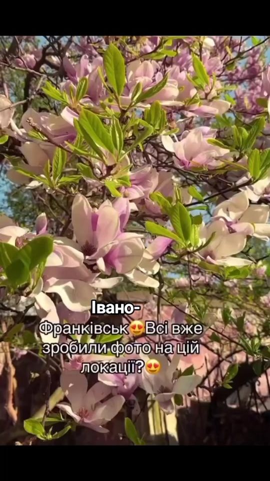 TikTok video thumbnail by sashka83638