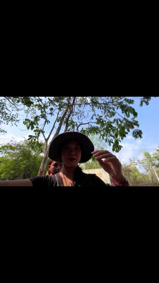 TikTok video thumbnail by roeun0218