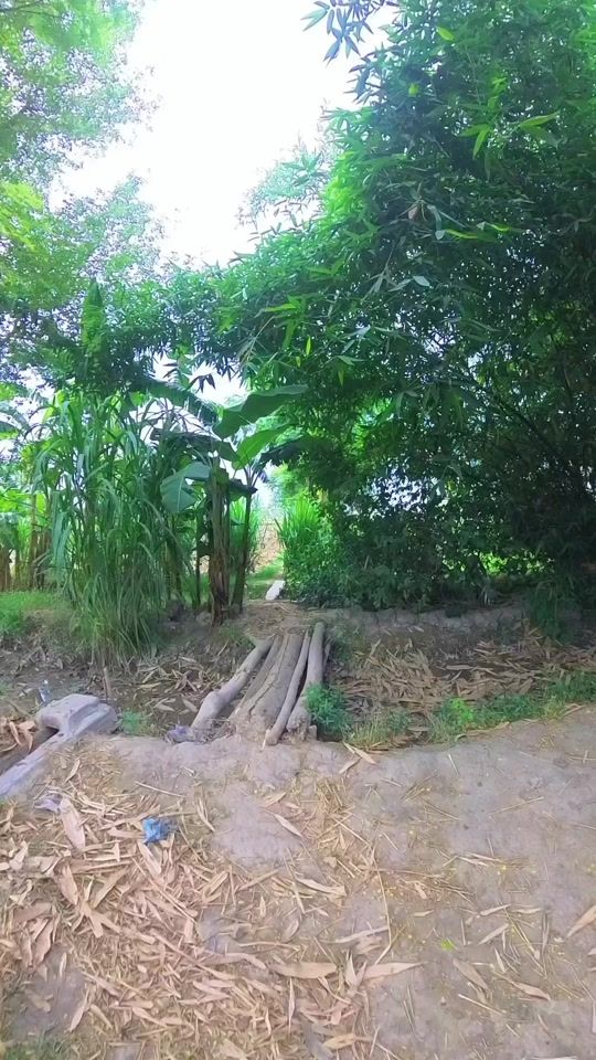 TikTok video thumbnail by rahatamir