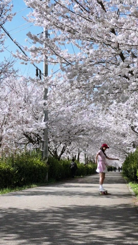 TikTok video thumbnail by h.zzzzz_in
