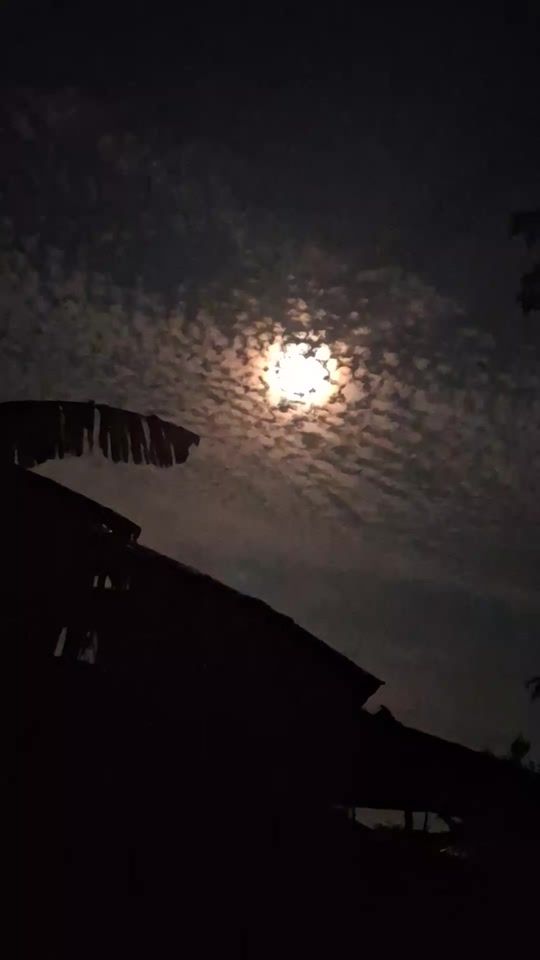 TikTok video thumbnail by rahu_rahoo