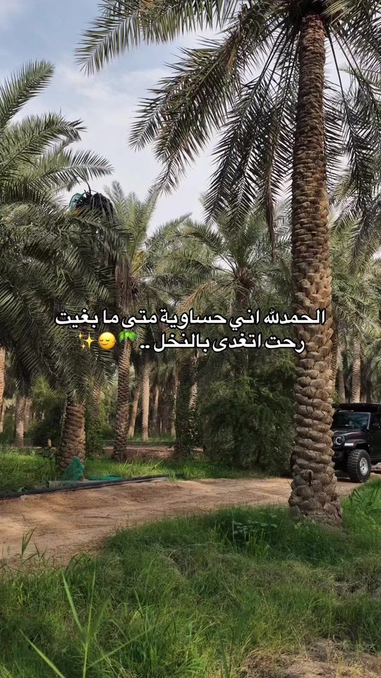TikTok video thumbnail by salwan_ebraheem