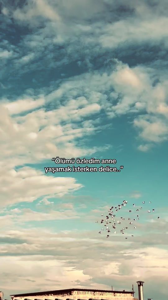 TikTok video thumbnail by beyaz.7