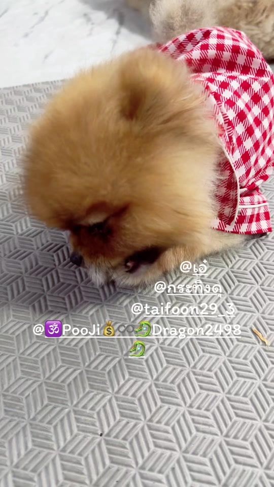 TikTok video thumbnail by miki5946
