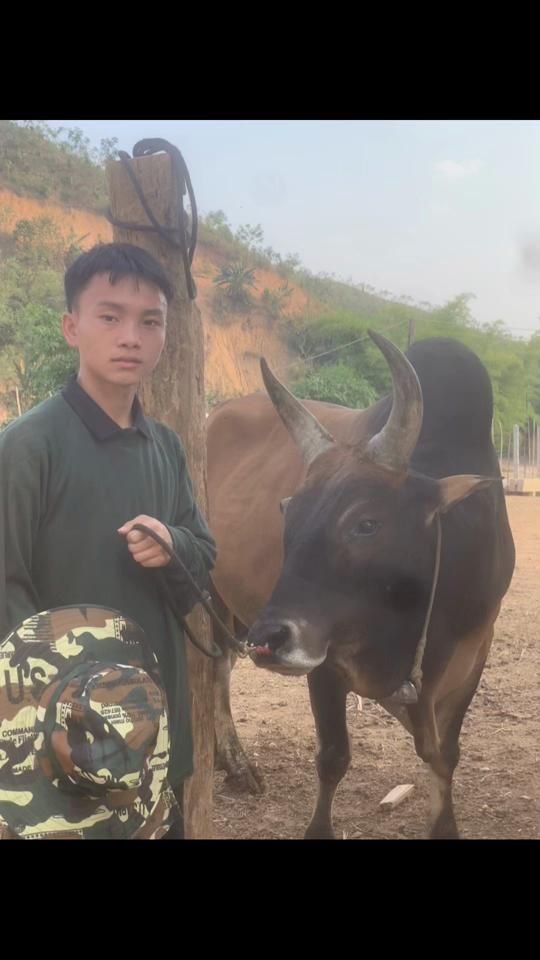 TikTok video thumbnail by .nauru8