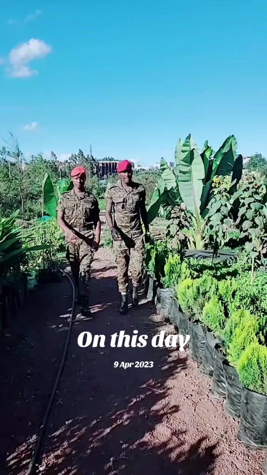 TikTok video thumbnail by jo_etm