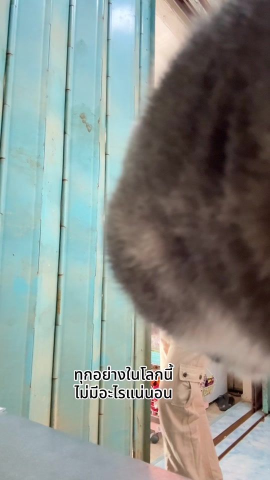 TikTok video thumbnail by pla.pla9