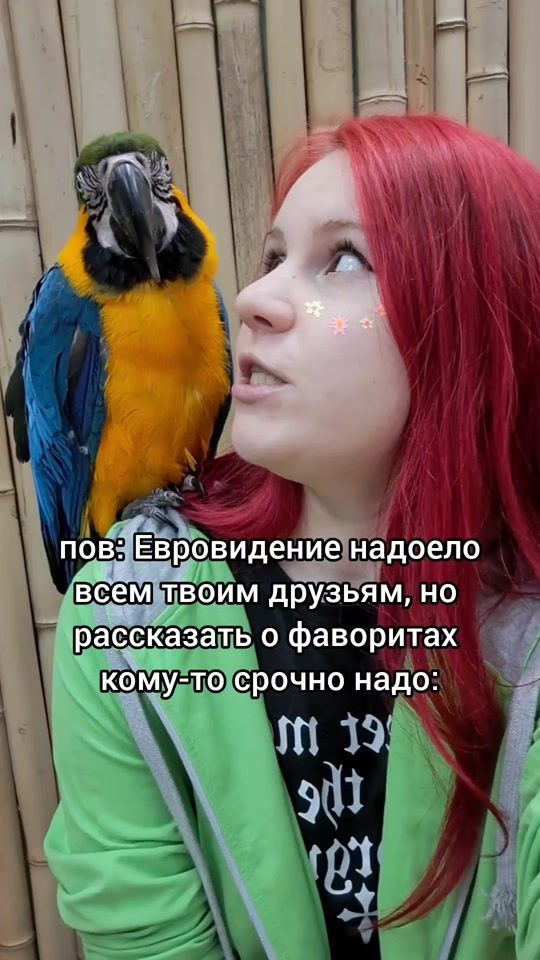 TikTok video thumbnail by magdalenecats