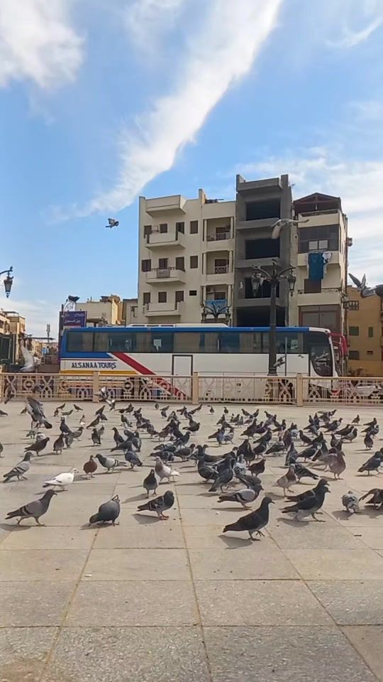 TikTok video thumbnail by a7mad1111177