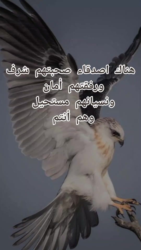 TikTok video thumbnail by alhadu32