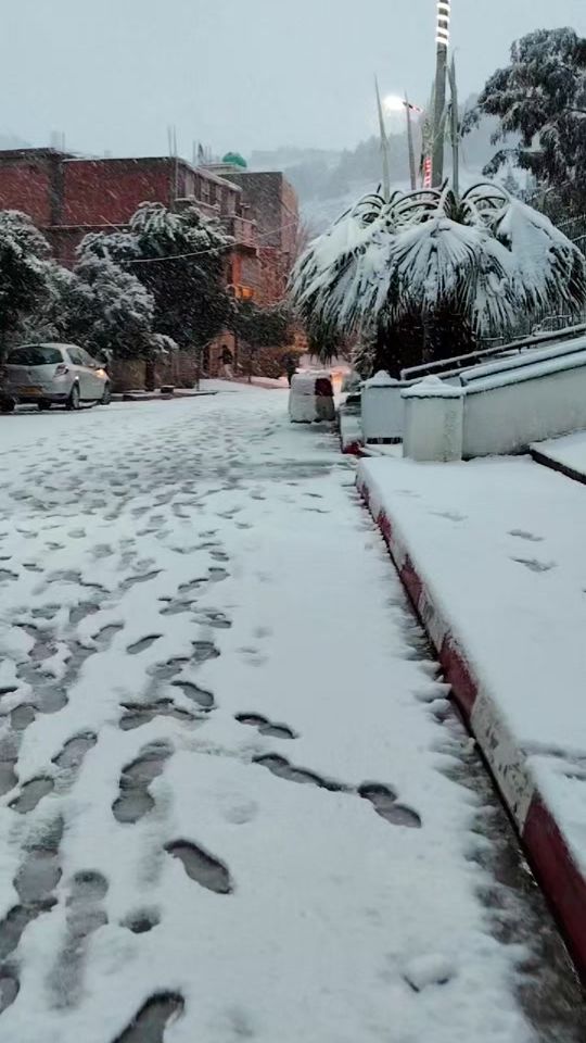TikTok video thumbnail by aminefoudi452