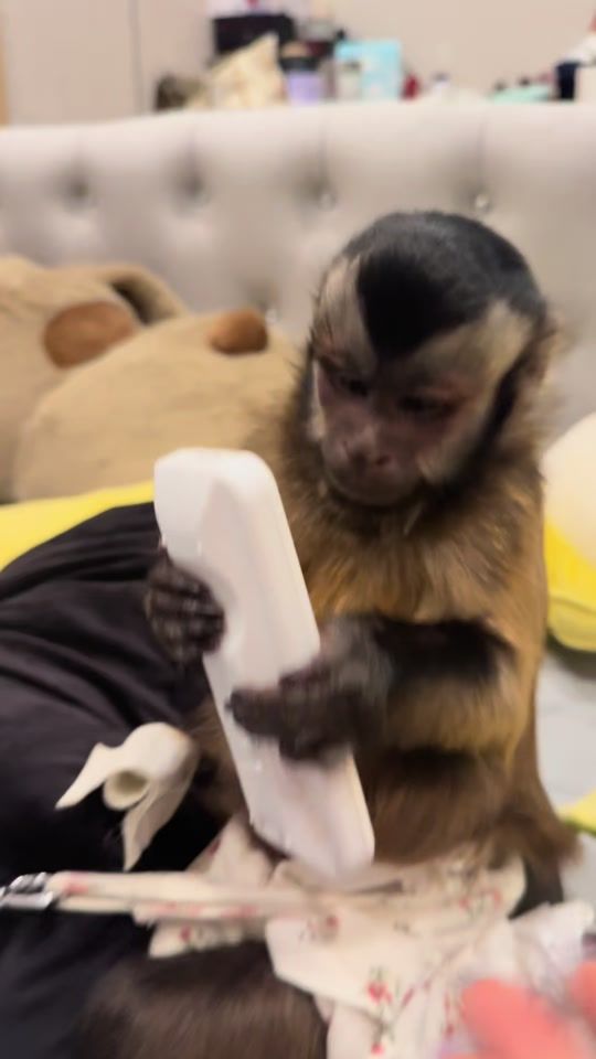 TikTok video thumbnail by jasmine_abu2