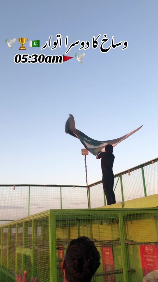 TikTok video thumbnail by sohailsahil3