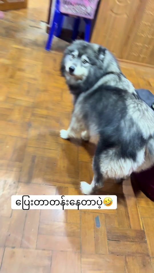 TikTok video thumbnail by baeh_22