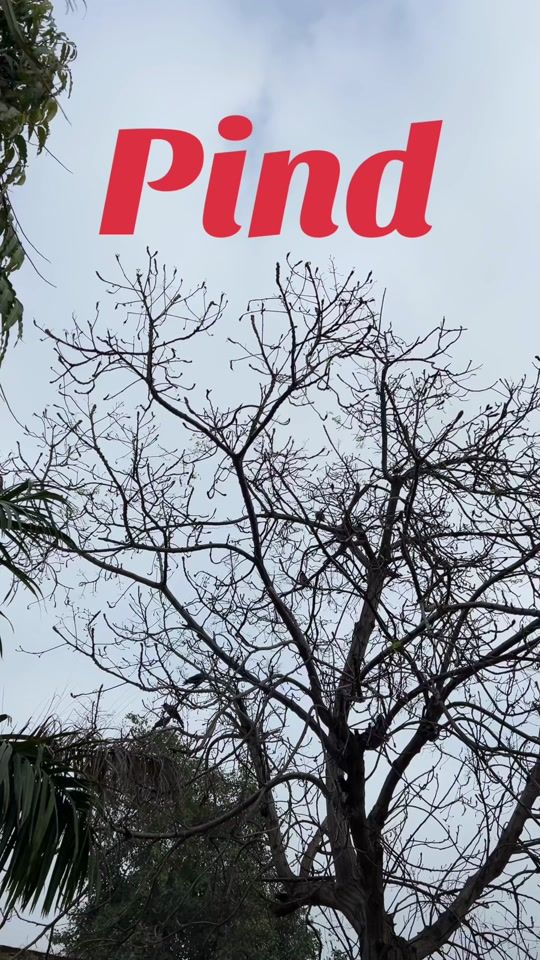 TikTok video thumbnail by baljit_0509