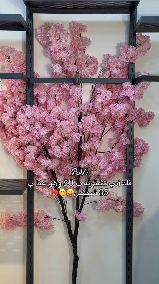 TikTok video thumbnail by sanori_nablus