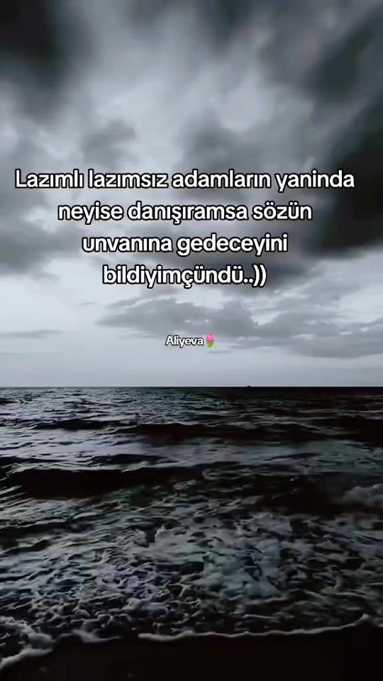 TikTok video thumbnail by ___tulpan___