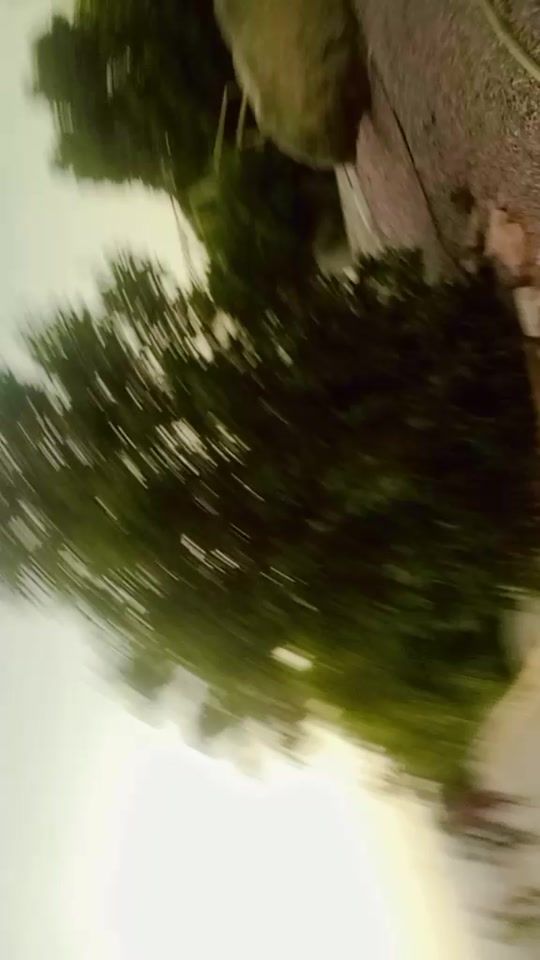 TikTok video thumbnail by user9314716937859