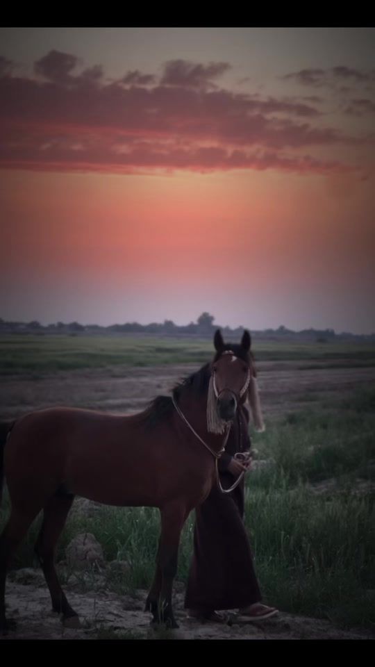 TikTok video thumbnail by fktr97