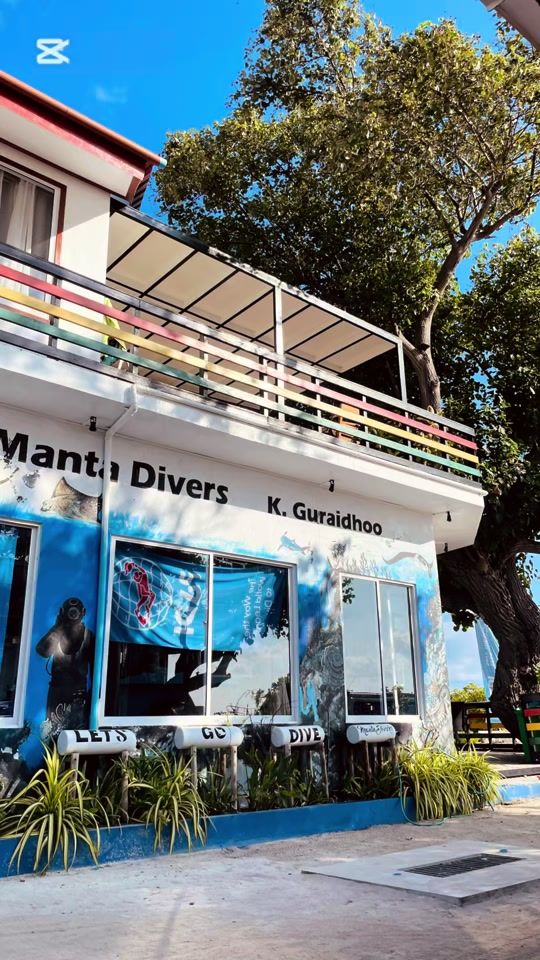 TikTok video thumbnail by _islandboyy_