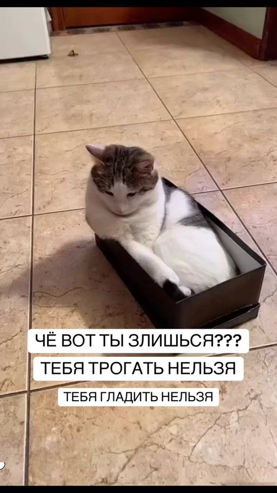 TikTok video thumbnail by bakaevamira