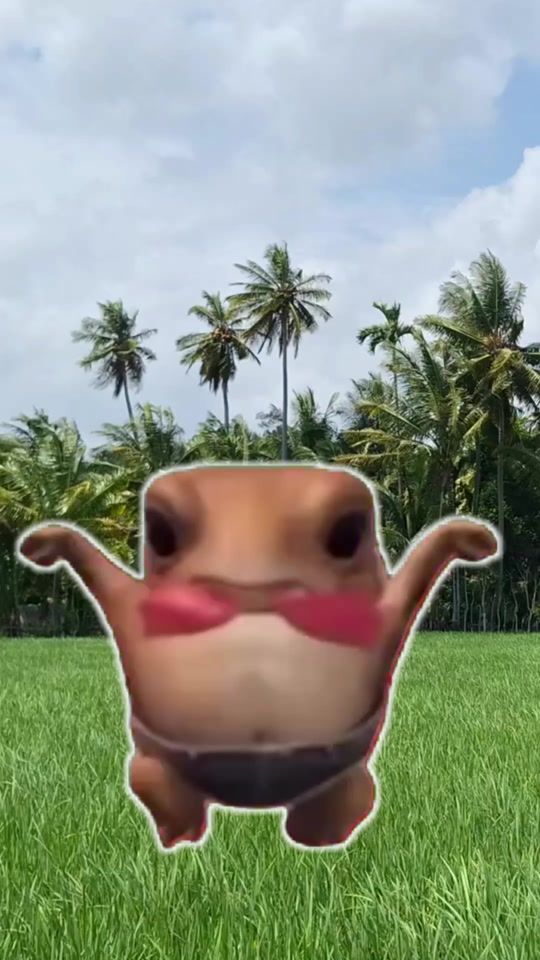 TikTok video thumbnail by buenosdias241