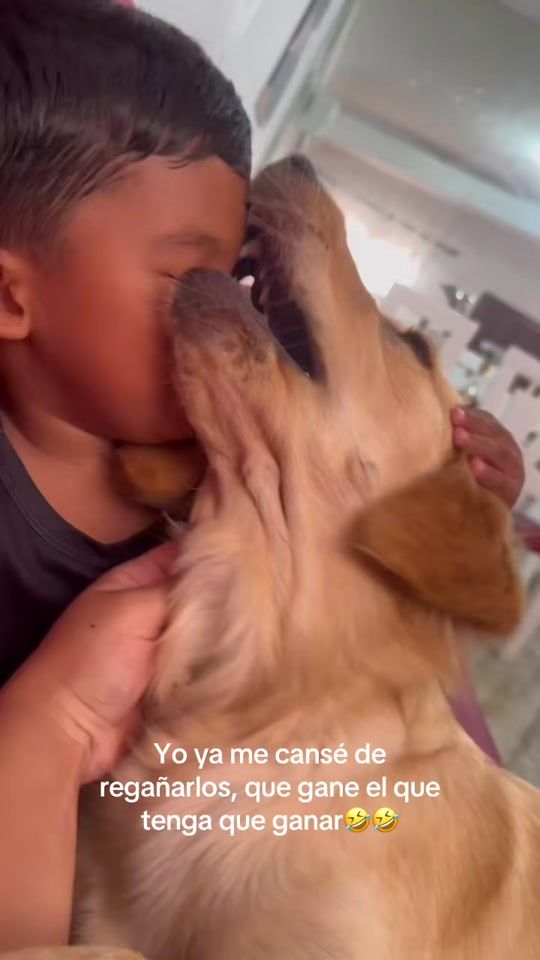TikTok video thumbnail by luisarlinmfa15