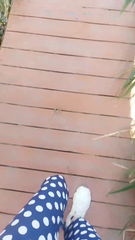 TikTok video thumbnail by .ayshen