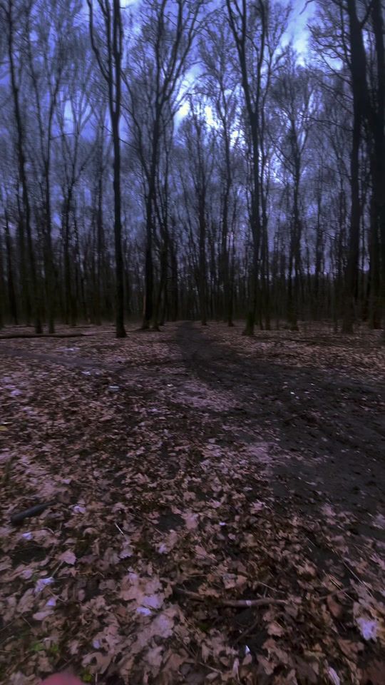 TikTok video thumbnail by bunker777777