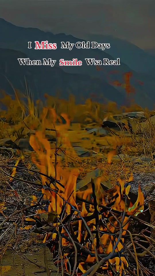 TikTok video thumbnail by tanhamusafar804