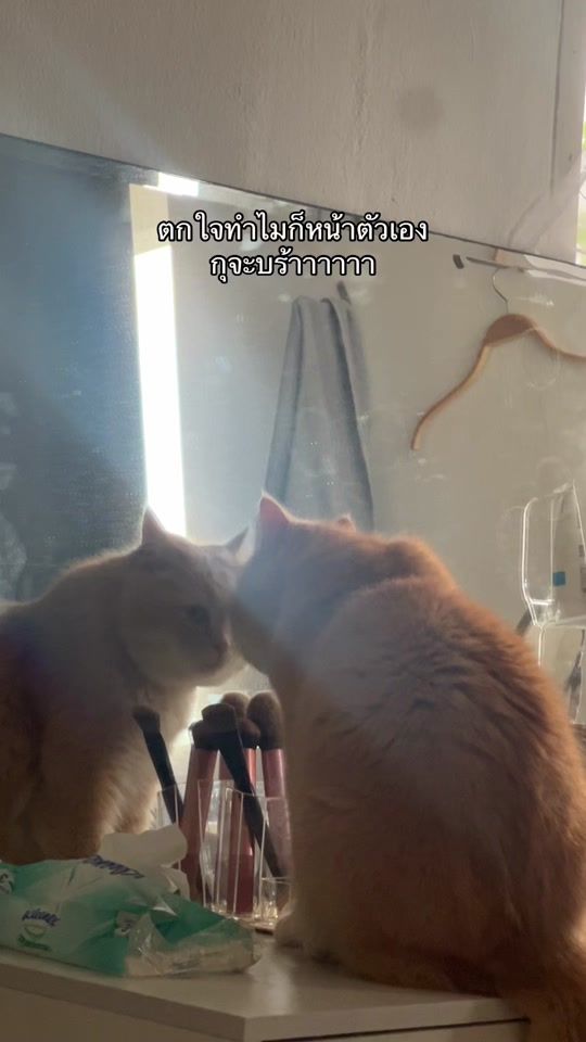 TikTok video thumbnail by bewya
