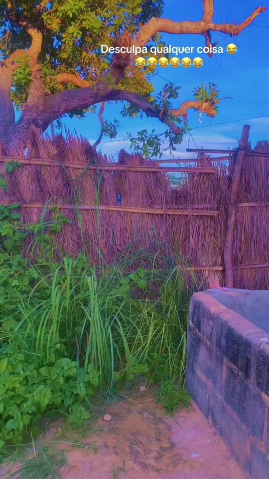 TikTok video thumbnail by ilda1859