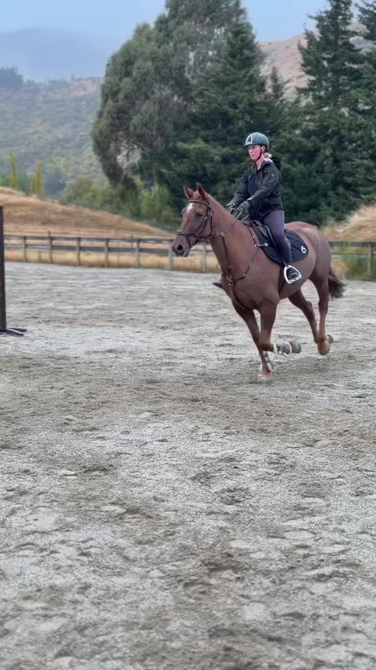 TikTok video thumbnail by heidigreeneq