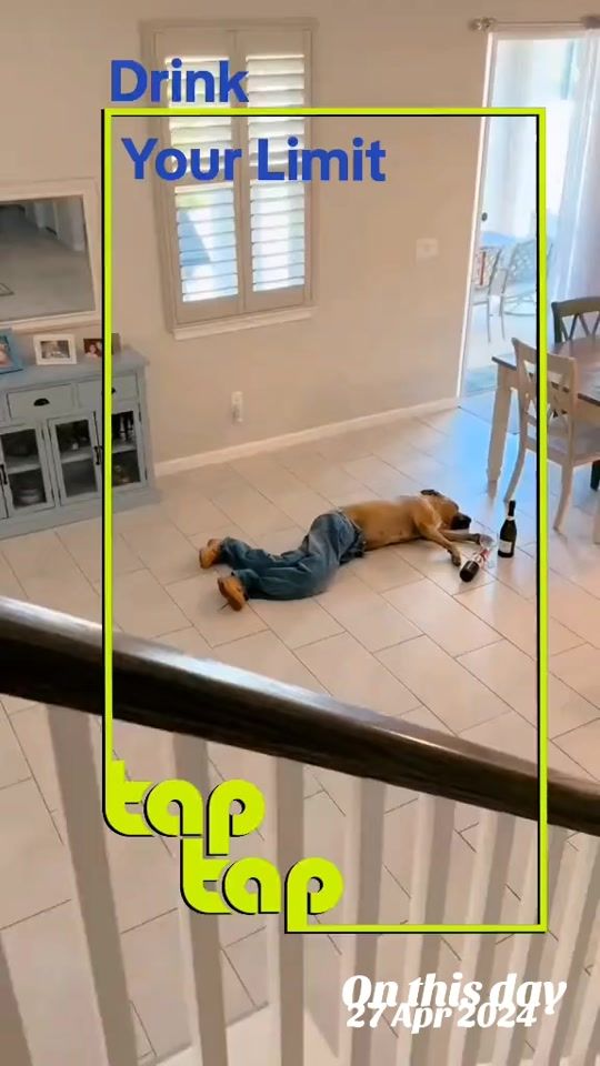 TikTok video thumbnail by taptap_gifter