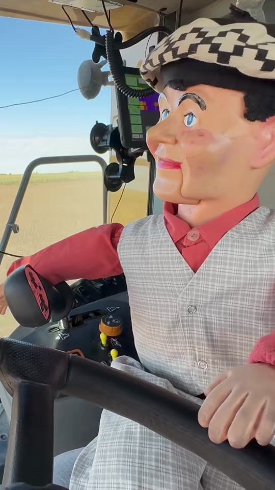 TikTok video thumbnail by pirulo.ook